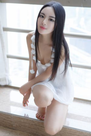 孤胆特工