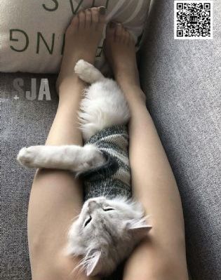 度年华电视剧免费观看