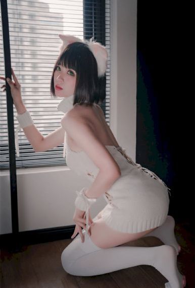 藏海花电视剧免费