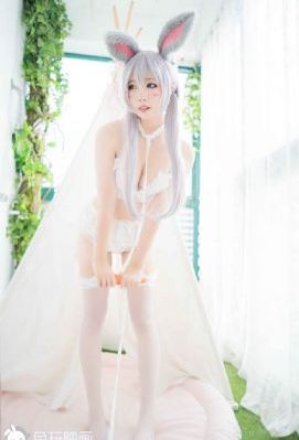 喜爱夜蒲