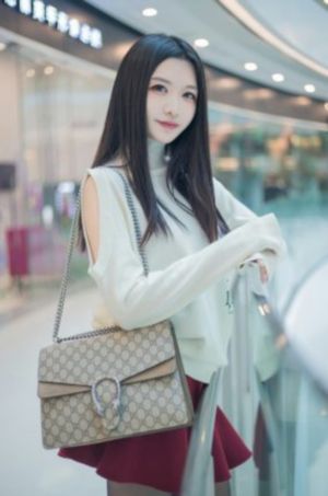 我的天才女友第二季