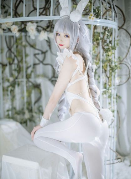 拜见宫主大人电视剧