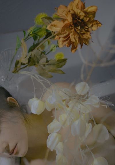最好看的2018免费观看在线