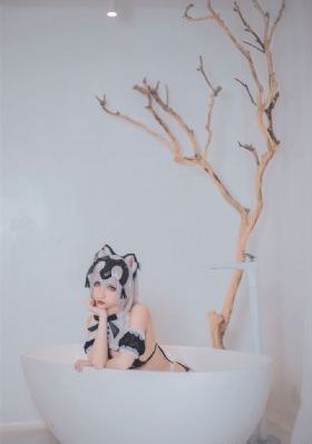 白马少年醉春风电视剧免费观看